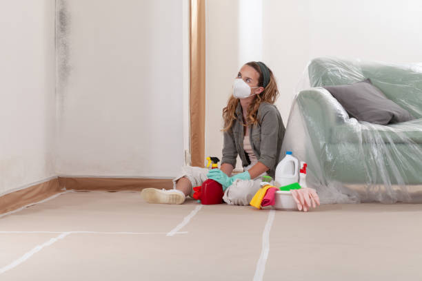 Reliable Basement Mold Remediation contractor in Newton, NC by WQB Mold Removal